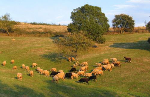 Casa da Bica Gondesende - Photo 43