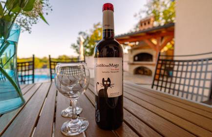 Villa Arton heated swimming-pool - Photo 22