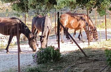 Casa Rural GUADALUPE de la fuenfria - Foto 26