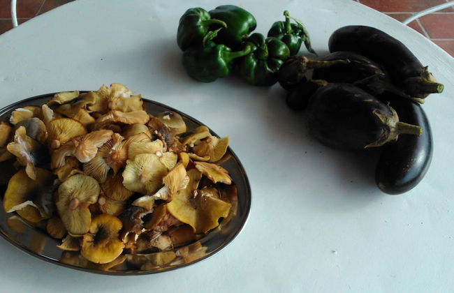 Oliva Azzurra - Foto 19