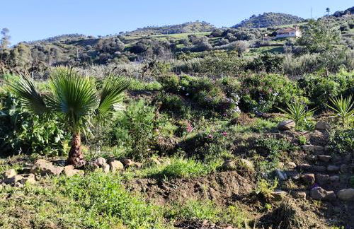 Andalusian Pool Parties Music & Magic - Photo 39