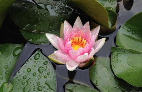 maison milabee - Foto 14