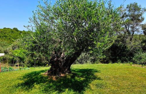 Andreas' Guest House - Foto 44