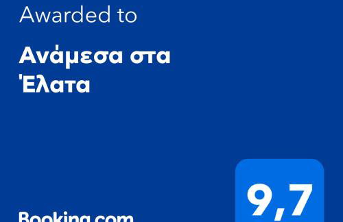 Ανάμεσα στα Έλατα - Foto 2