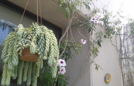 Apartamento con encanto en la playa frente al mar "Posada Rent House" - Foto 43