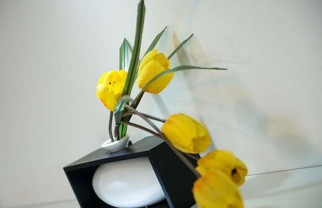 Luxury Apartment in City Center - Foto 27