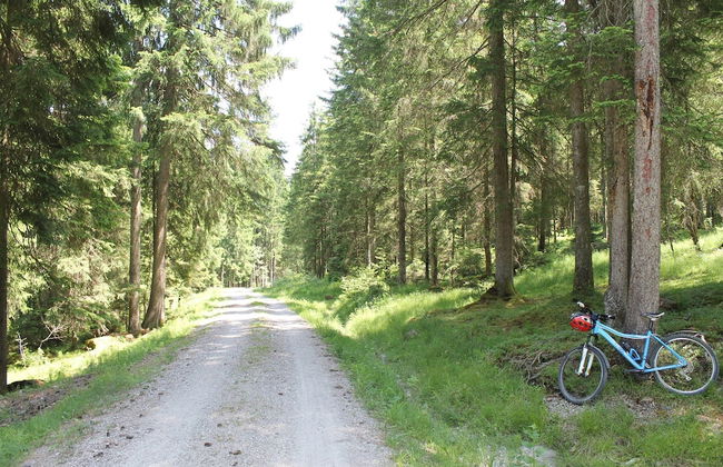 Alpenapartment mit Garten - Foto 36