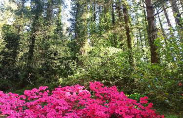 Il Bosco di Campo Marzano studios - Foto 68