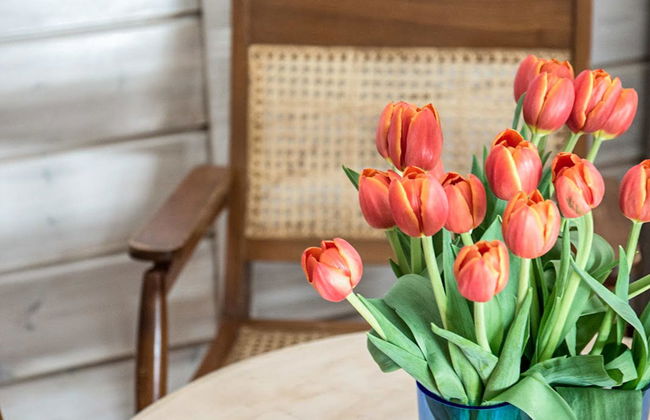 Tervaharju - Foto 11