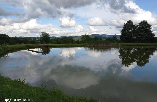 Agroturystyka Ziemowit Karkonosze - Foto 4
