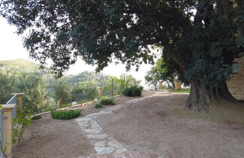 Il Mandorlo - Foto 50