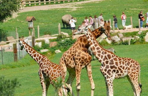 Maison de centre-village "Au bord de l'Ô" - Jardin - Parking - Foto 8