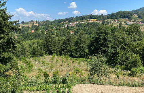 Villa Manca - Photo 38