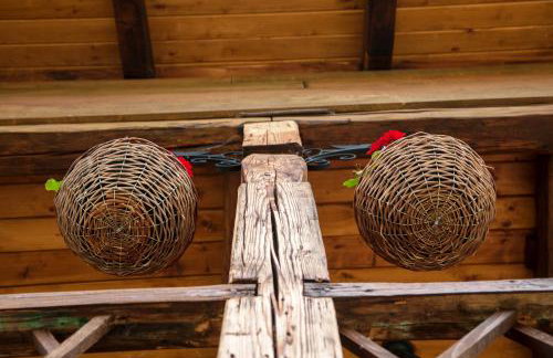 Vila Trnoružica - Foto 46