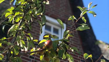 Eidumhaus, freistehendes Reetdachhaus mit Garten in Strandnähe - Foto 3