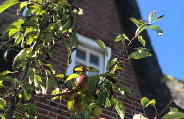 Eidumhaus, freistehendes Reetdachhaus mit Garten in Strandnähe - Foto 3