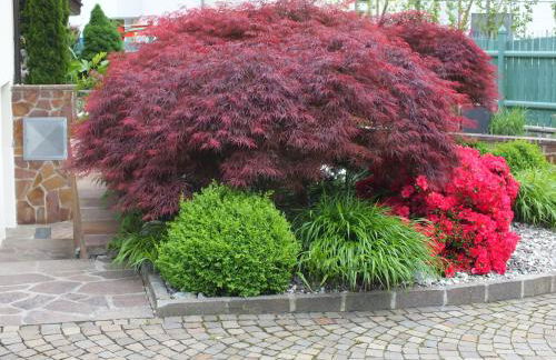 Haus Schweitzer - Naturns - Foto 18