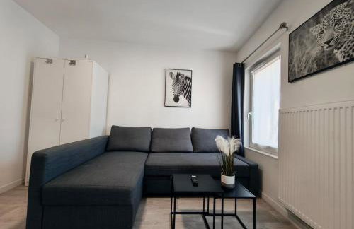 Grand Studio Lumineux Proche Centre-Ville - Foto 11