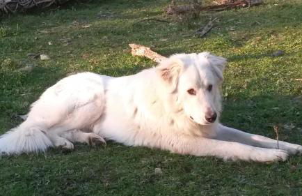 Fattoria Giunasco - Foto 40