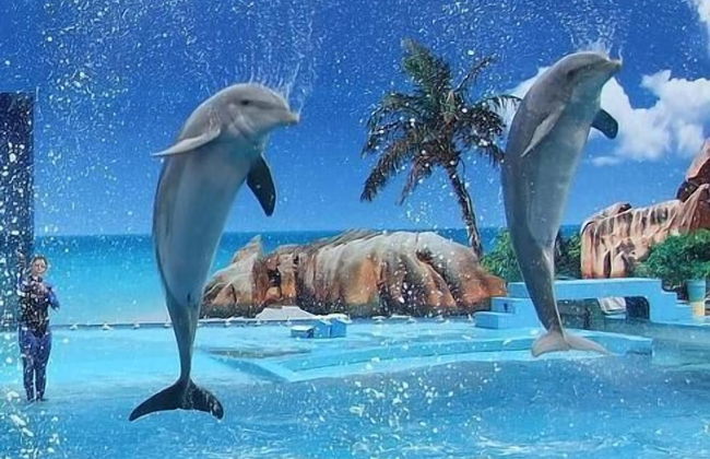 Deluxe Apartment with 1 Room J - 1 Br apts - Foto 10