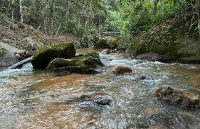 Pousada Riacho Beneventes - Foto 7