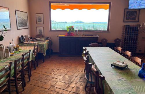 Fattoria Raffaelli - Foto 12