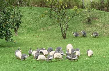 Refúgio do Brilhantte-Belo sítio com piscina e spa - Photo 66