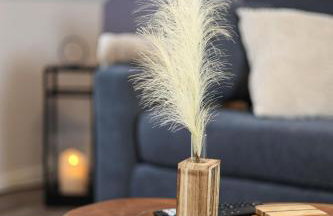 Vision - Apartment 43 - Bad Klosterlausnitz - Foto 24