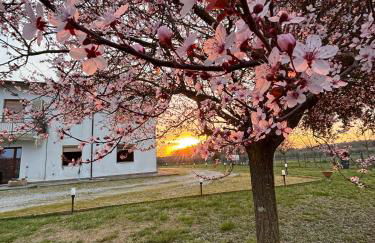 Alloggio Turistico Trasimeno II Castiglione Del Lago - Photo 3