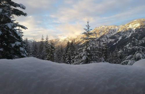 Hot Tub Cool Views: Roaring Creek Cabin - Foto 27