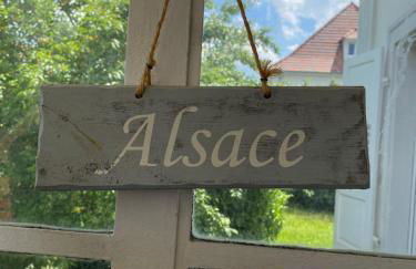 BookingAlsace - Maison Mittelharth Parking Jardin - Foto 9