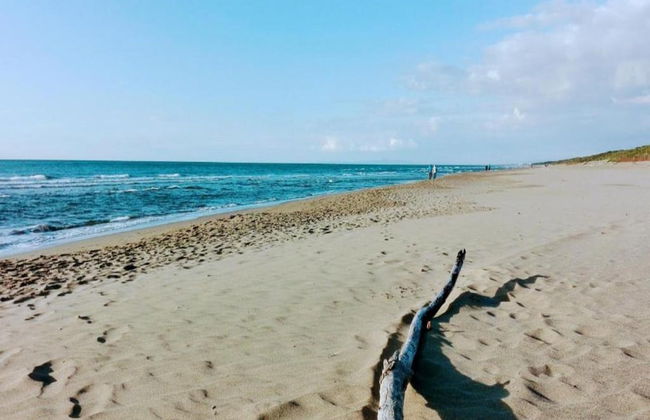 Farmhouse in Suvereto Near Etruscan Coast - Foto 39