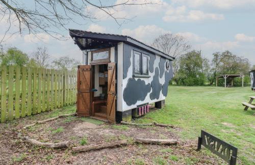 Daisy Cow Shed 1 - Foto 13