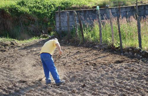 Comfortable Rural Cottage in Ancient Village in the Douro Region - Photo 59