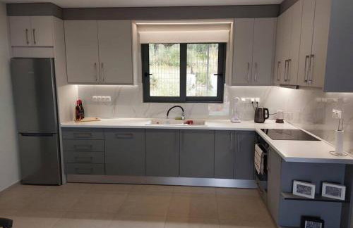 Iliovasilema - Foto 21