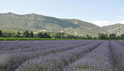 Un petit coin de paradis - Foto 4