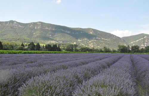 Gîtes du Château d'Alençon - Photo 68