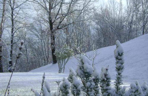 Cottage in Italy With Alpine Fireplace - Foto 57