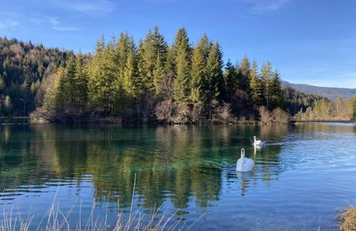 Ferienwohnung Einklang - Foto 37
