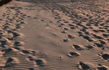 Chata Lawendowa - Foto 51