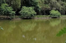 Condomínio Resort na cidade das águas sulfurosas - Foto 12