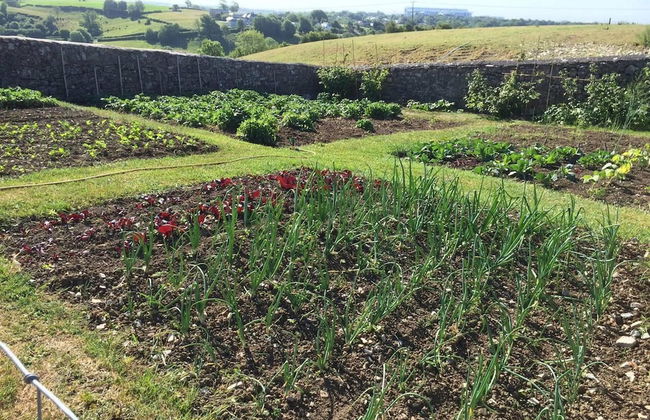 Vale of Glamorgan - Cottage - Sleeps 4 - Parking - Foto 20