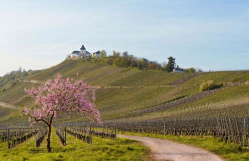 Ferienwohnung Auf Sarret - Foto 41