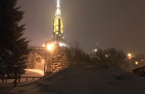 Le JETAY 39 App 6 personnes aux MENUIRES - Foto 22