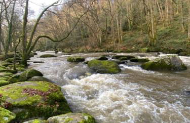 La petite vallée - Photo 35