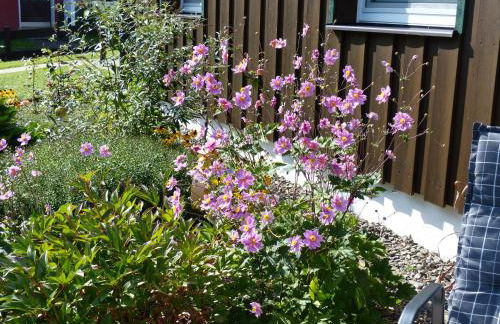 Ferienwohnung Jesse - Foto 39