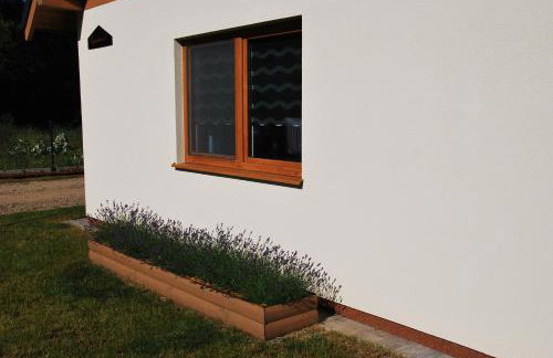 Forest House Sasino-SPA Sauna Balia - Foto 21