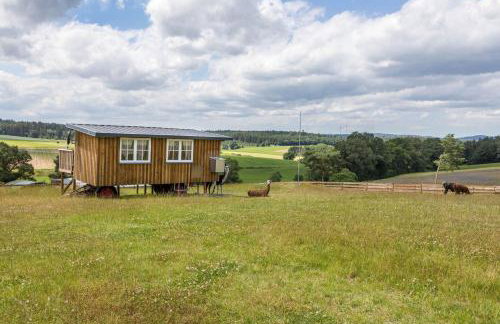 Tinyhouse Alpakawiese - Foto 21