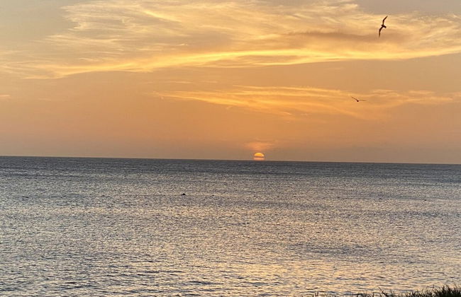 Boca Catalina 4 4 Private Pool Incredible Location - Foto 55