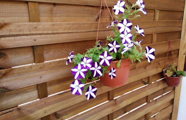 Portohall Beach - Foto 18